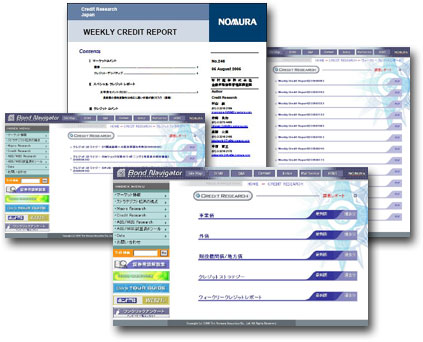 Natlional Credit Report